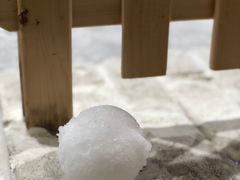 -Mr·Kuma酷么先生雪之乐园