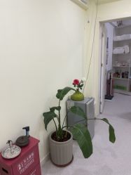 -斐尔国际皮肤管理中心