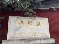 -五台山风景名胜区-罗睺寺