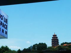 -铁山坪森林公园