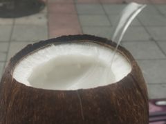 -椰爺爺·椰子冻砵仔糕