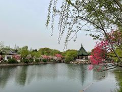 -无锡蠡湖国家湿地公园-蠡园