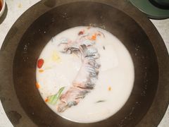 鲜潭蒸汽石锅江团鱼-鲜潭蒸汽石锅鱼(五道口购物中心店)