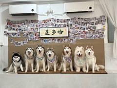 -星多哈·狗咖·拼豆·咖啡