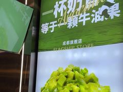 -茉酸奶(春熙路店)