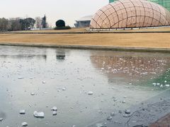 -金陵图书馆