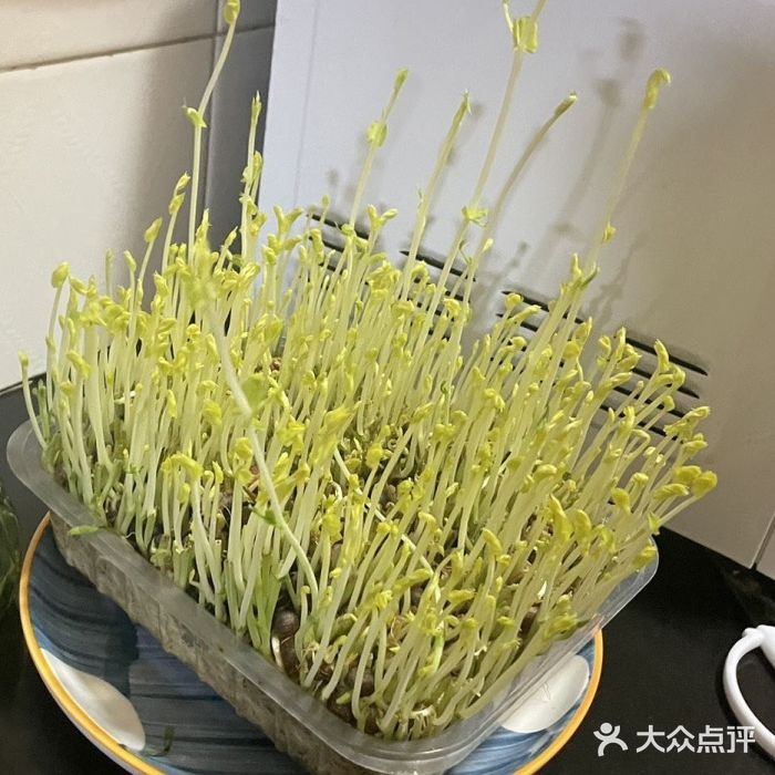 海底捞火锅(海宁路店)图片