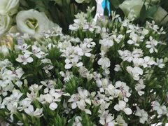 -亭亭鲜花店(中山北路店)