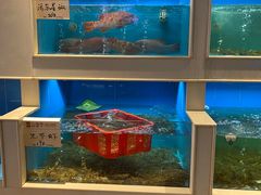水产区-富黎华海鲜大酒楼(正大广场店)