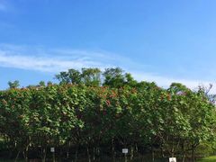 -白鹭湾湿地公园