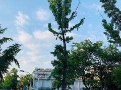 -四川大学(望江校区)