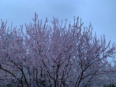 -颐和园