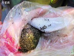 叶氏麻糍-买了个黑的，一个白的-叶氏麻糍(鼓浪屿店)