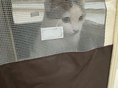 -宠颐生汉谟拉比宠物医院