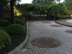 -嘉定紫藤园