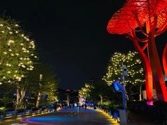 -欢乐海岸水秀剧场