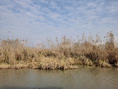-长兴太湖图影湿地文化园