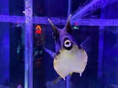 -太平洋海底世界