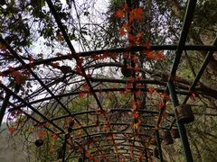 -溪口-滕头旅游景区