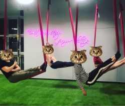 -桃秘钢管舞Peach Pole Fitness