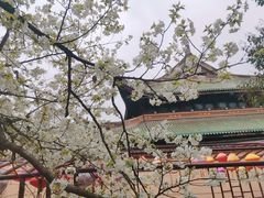 -无锡梅园公园