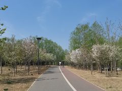 -马家湾湿地公园