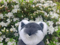 -南山植物园