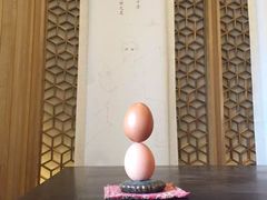 -太极禅苑