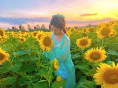 -汉长安城未央宫国家考古遗址公园