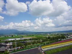 -富田农场