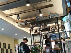 -宠颐生斯嘉宠物医院·急重症·心内科(谷阳北路分院)
