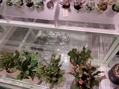 -KKV(深圳宏发大仟里店)