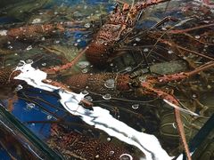 -班赞海鲜市场