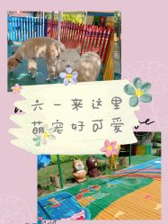 -萌宠亲子动物乐园(槐房万达店)