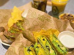 -油梨树AVOCADO TREE(嘉里中心店)