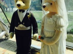 -济州岛泰迪熊博物馆