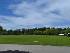-上海滨江森林公园