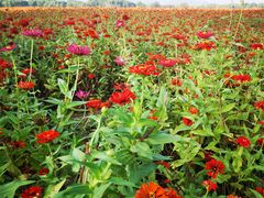 -山明水秀大饭店