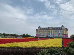 -百万葵园