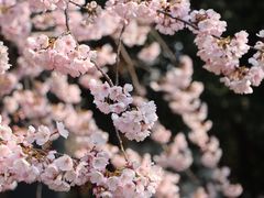 -静安雕塑公园