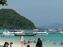 -珊瑚岛