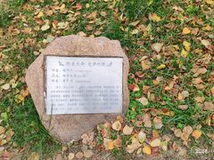 -东北大学(南湖校区)