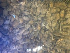 -鲜味食族水产·海鲜餐厅