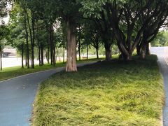 -眉山湿地公园(东坡区)