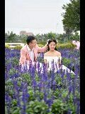 点击看大图 -金夫人婚纱摄影(华南店)
