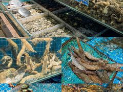 -良师门滨海人家·海鲜·家常菜(滨海城店)