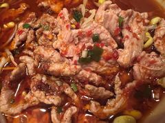 水煮肉-向川南·水煮鱼·川菜(和平里店)