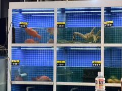 -金龙·打边炉(南京西路店)