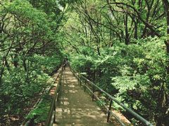 -惠山国家森林公园
