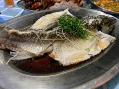 -石岐乳鸽村(南海第三分店)